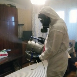 Дезинфекция от клопов в Новокубанске