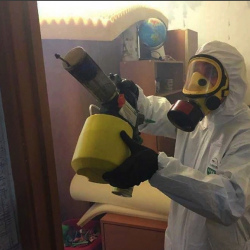 Уничтожение клопов в квартире. Новокубанск